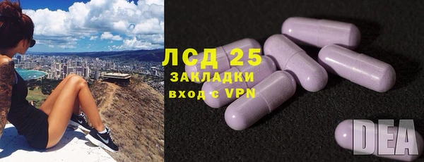 гашик Приозерск